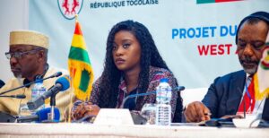 Coupures d'électricité au Togo : Les plans du gouvernement pour résoudre le problème