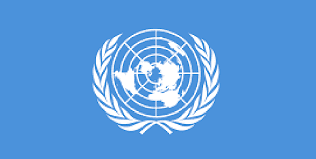 Le Département de la Sûreté et de la Sécurité des Nations Unies (UNDSS) recrute pour ce poste