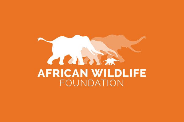 African Wildlife Foundation recrute pour ce poste