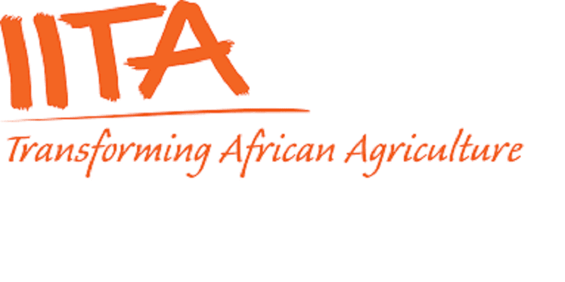 L’Institut International d’Agriculture Tropicale (IITA) recrute pour ce poste