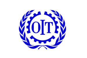 L’Organisation Internationale du Travail (OIT) recrute pour ces 02 postes
