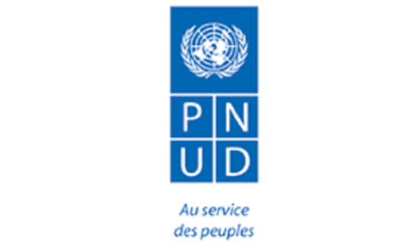 Le PNUD recrute pour ce poste