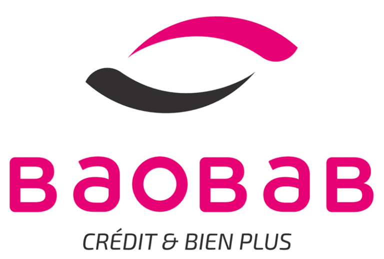 Le Groupe BAOBAB recrute pour ce poste