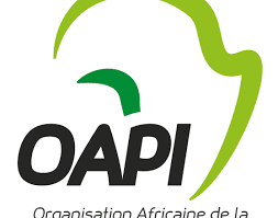 Appel à candidatures : 15e édition du Programme de Master en propriété intellectuelle de l’OAPI