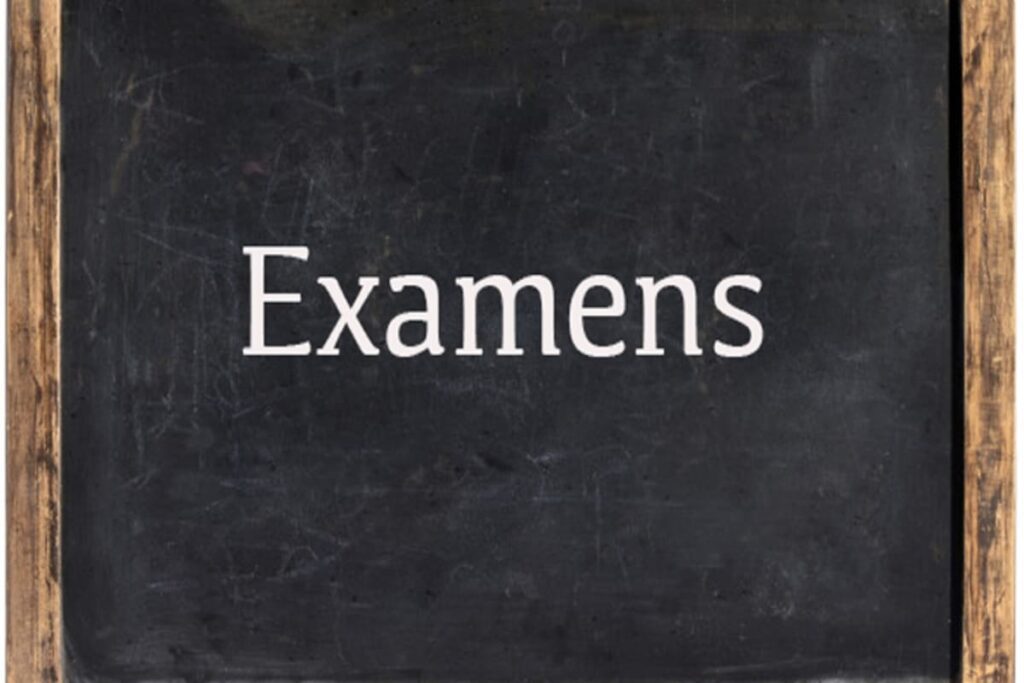Togo/ Chute des résultats aux examens : L'inspection générale de l'éducation dévoile la principale cause