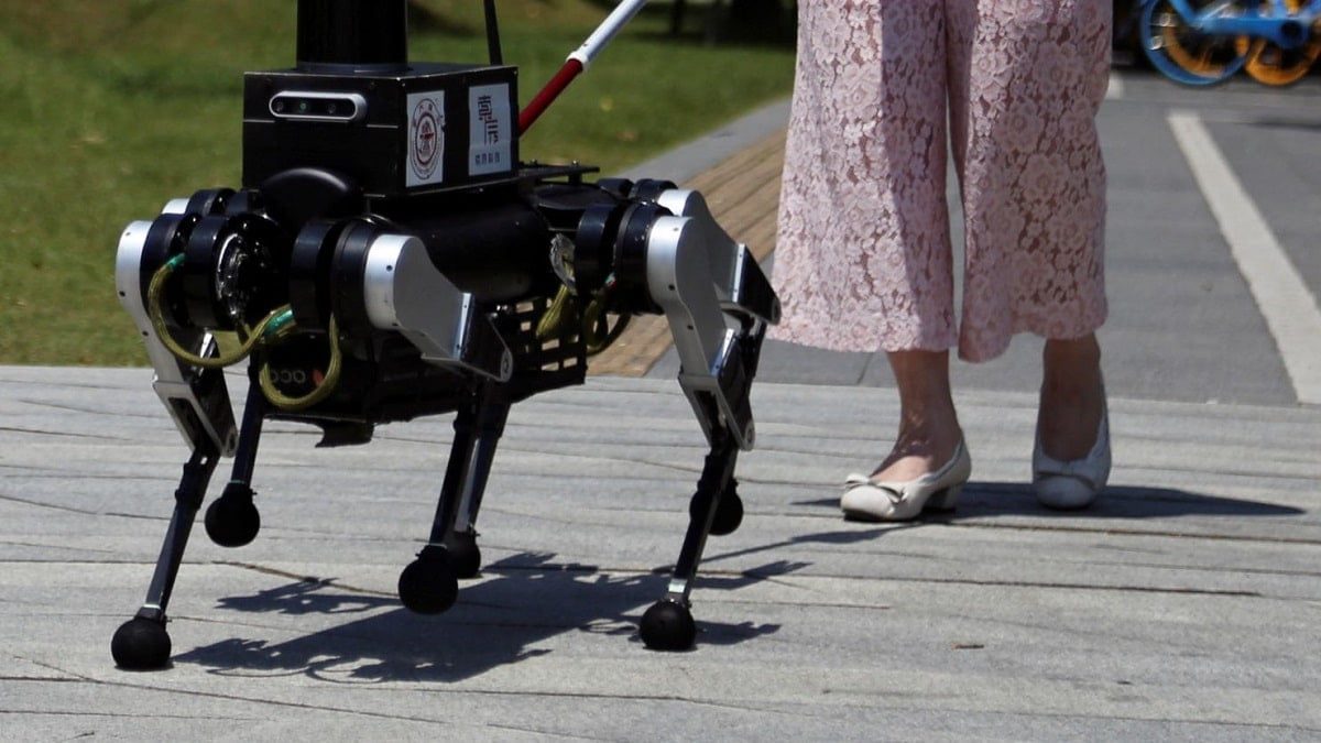 Chine chien robot