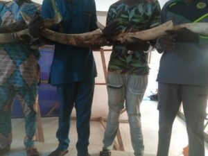 Togo : Les autorités opèrent un grand coup et démantèlent un réseau de trafiquants à Kara