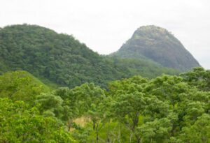 Togo, patrimoine naturel, aires protégées