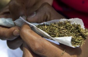 Lutte contre la drogue : Le Togo lance une initiative révolutionnaire