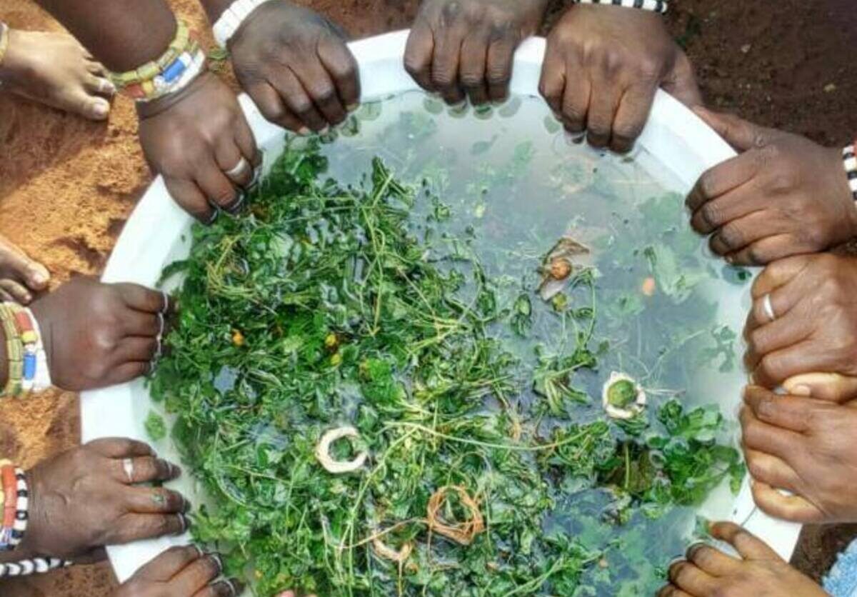 Togo/ Epé-Ekpé 2024 : Découvrez la couleur de la pierre sacrée et sa signification spirituelle