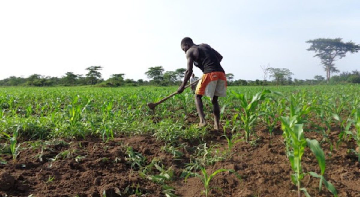 Agriculture : Le Togo annonce son 5e recensement national