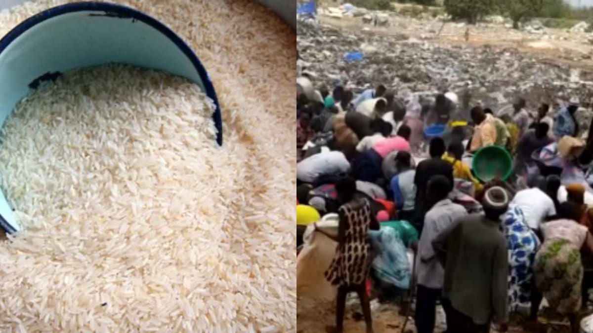 Scandale à Lomé : Du riz avarié jeté dans la nature, la population en danger ! (VIDEO)