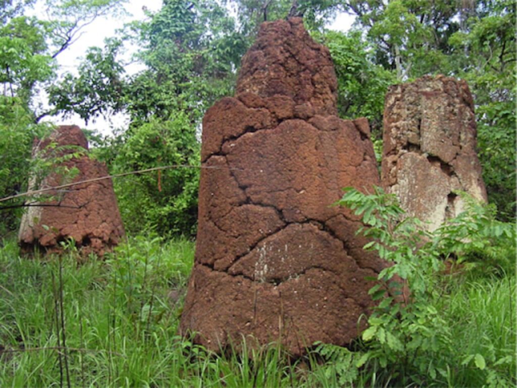 Togo : Ce site touristique bientôt inscrit au patrimoine mondial de l'UNESCO