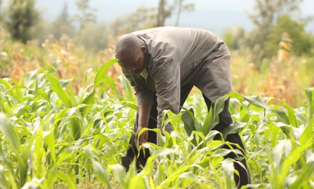 Togo/ Recensement agricole : Voici la liste des agents de terrain présélectionnés