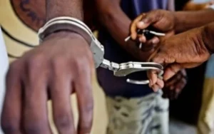 Togo/ Prisonniers politiques : Un député européen met la pression au gouvernement