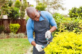 Une structure basée à Lomé recrute : jardinier, agents d'entretien