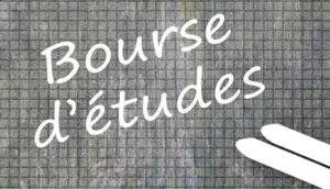 Bourses d’études nationales : Voici la somme que le Togo débourse chaque année