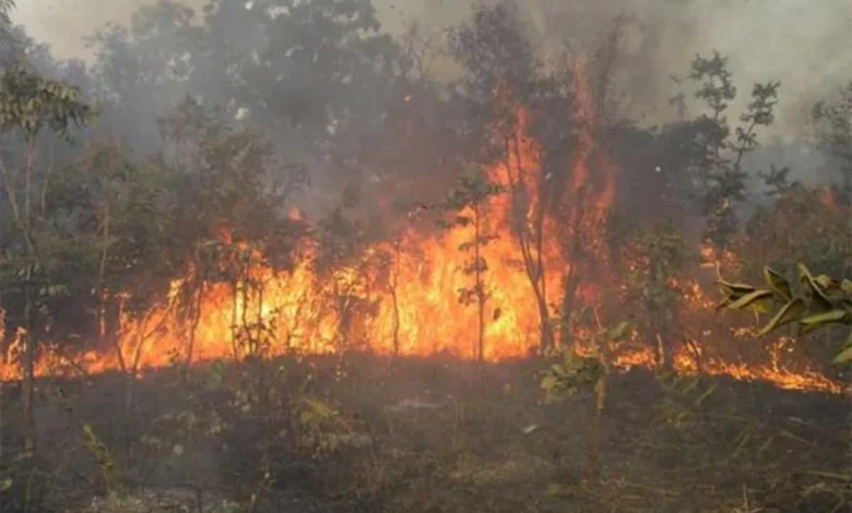 Togo/ Harmattan : Attention aux feux de brousse !