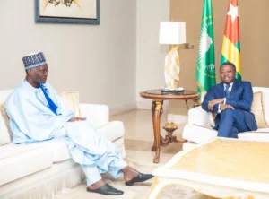 Togo - Niger : Faure Gnassingbé livre de précieuses idées pour la modernisation de l'EAMAU