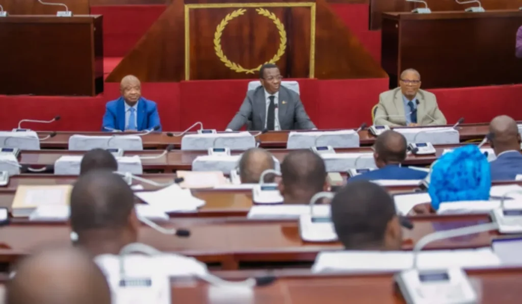 Togo : Le Parlement examine la loi de finances 2025 pour la stabilité économique