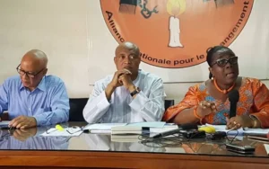 Élections sénatoriales au Togo : L'ANC dans la tourmente