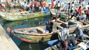 Les pêcheurs togolais tirent la sonnette d'alarme face à une menace