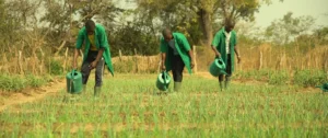 Togo : La région centrale va se doter d'un centre de services et de formation agricole