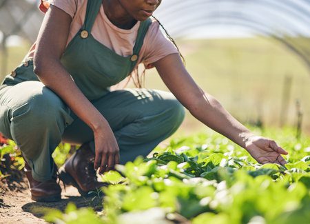 ESA Recrutement recrute un Ingénieur Agronome