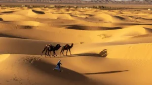 Niger : Une Autrichienne de 73 ans kidnappée à Agadez