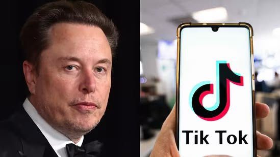 Après X, Elon Musk pourrait racheter TikTok : Voici pourquoi