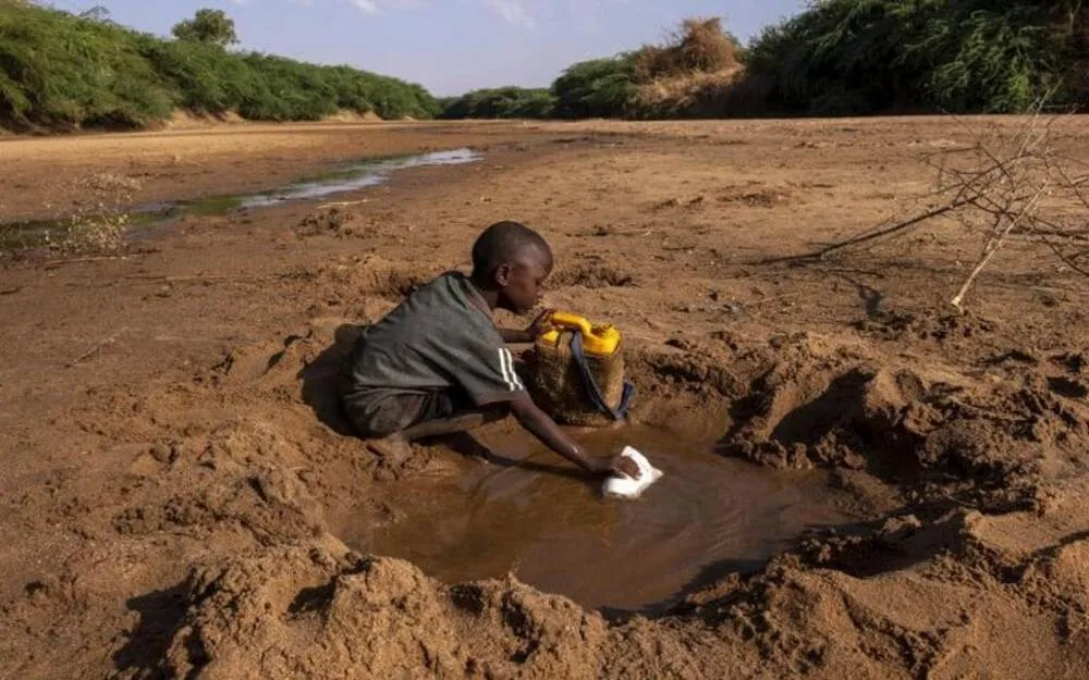 Togo : Les régions du Nord face à une sécheresse sans précédent