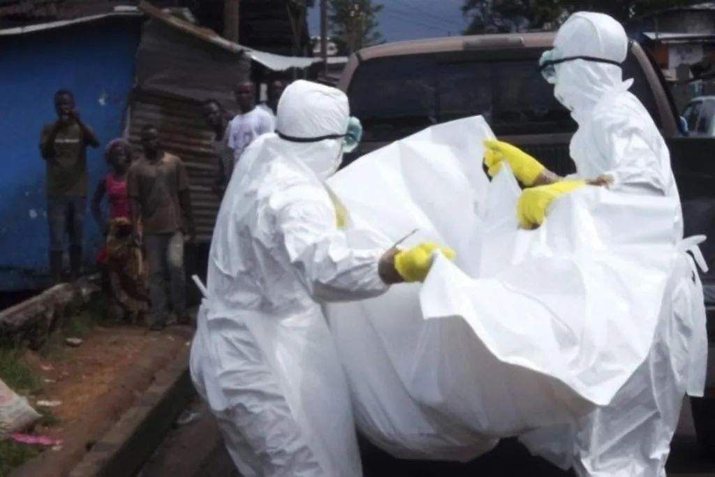 Fièvre de Lassa : le Togo en alerte maximale !