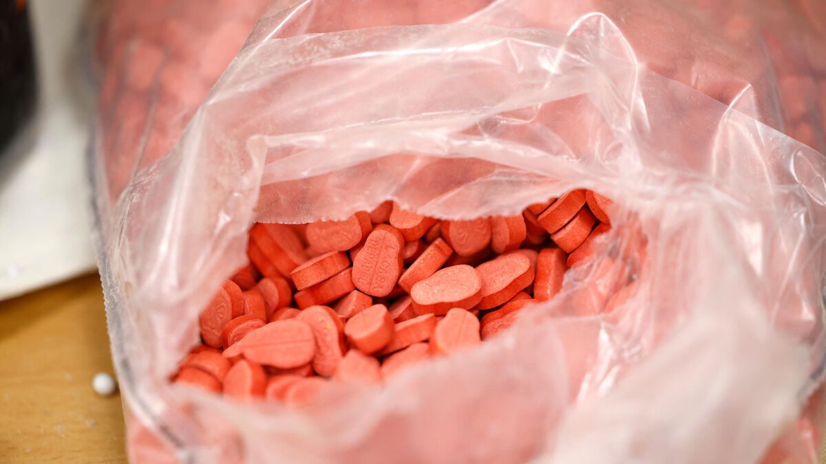 Trafic de drogue : Saisie historique de 128 000 pilules d’ecstasy à l’aéroport de Banjul