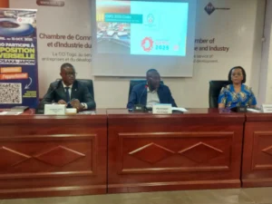 Expo Osaka 2025 : Le Togo ouvre les inscriptions pour les entreprises et startups