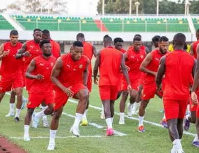 Éperviers du Togo : Des joueurs clés en pleine forme avant des matchs contre le Sénégal et la Mauritanie