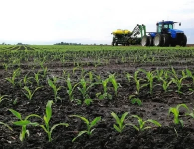 Le Togo lance un ambitieux programme de modernisation agricole