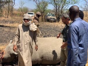 Tchad : Plusieurs hauts fonctionnaires suspendus pour braconnage