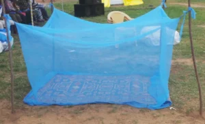 Lutte contre le paludisme : Le Togo va distribuer 530 000 moustiquaires en 2025