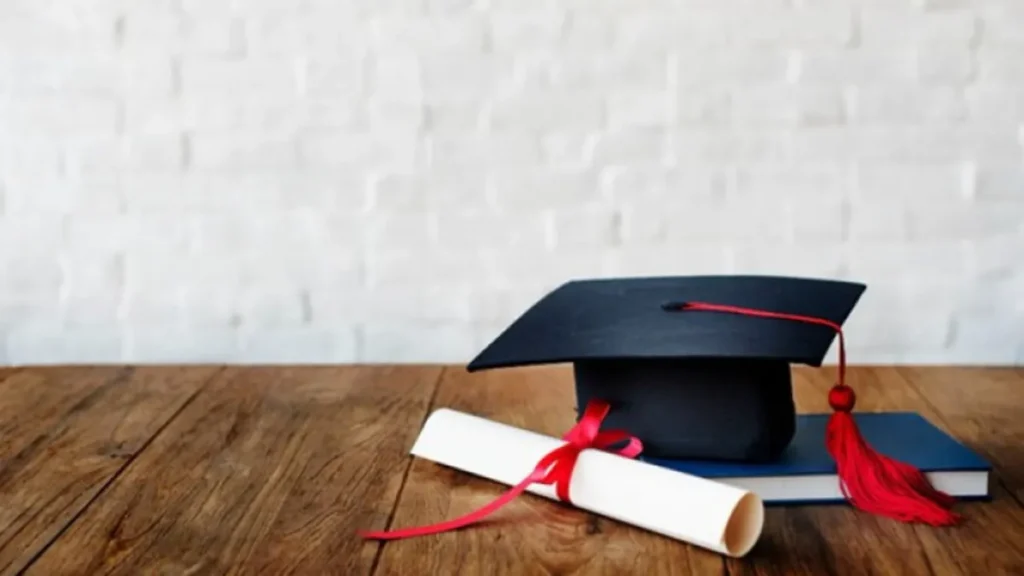 Opportunité pour les étudiants et diplômés togolais : Offres de stages à l'OIT