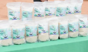 Une première au Togo : Le riz Kovié obtient l’Indication Géographique Protégée