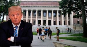 Etats-Unis : Donald Trump s'en prend à l'Université d'Harvard