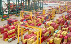 Le Togo reconnu comme leader régional dans la lutte contre le commerce illicite