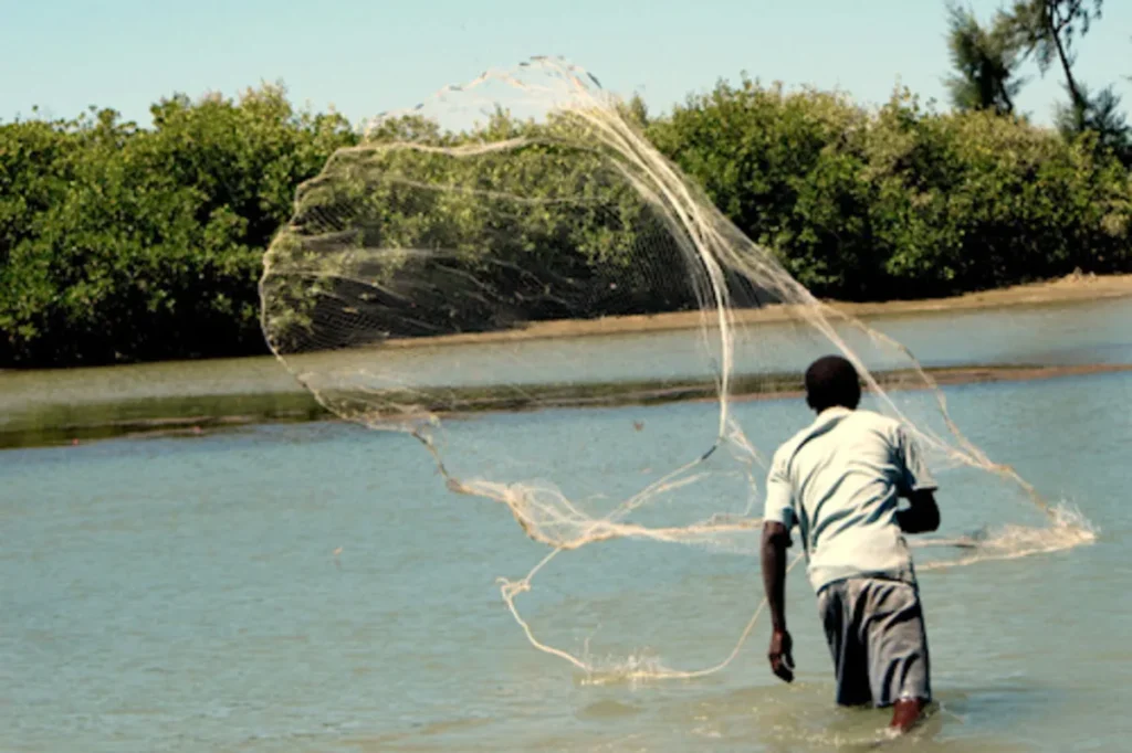 Togo : Les activités de pêche suspendues à l'échelle nationale