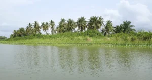 Bassin du Mono : Le Togo et l'UE lancent une initiative novatrice