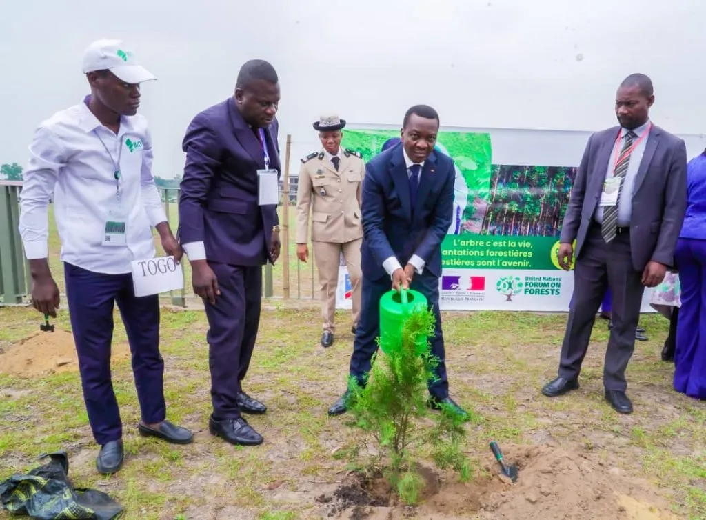 Le Togo lance une campagne de reboisement avec 11 milliards de francs CFA