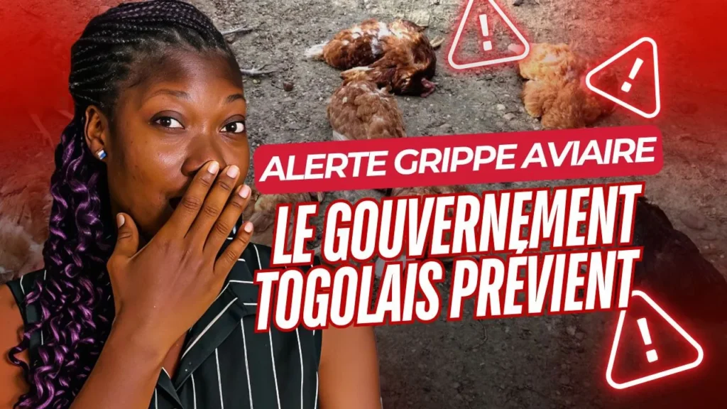 Alerte grippe aviaire : Le gouvernement togolais prévient - Revue du 09 mai 2025