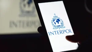 Crime : INTERPOL récupère des centaines de véhicules volés au Togo et dans les pays voisins