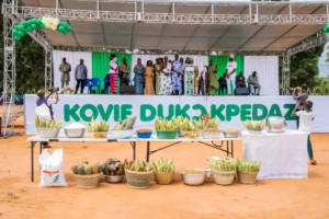 Togo : Kovié célèbre la 24e édition du festival Dukɔ Kpedazã
