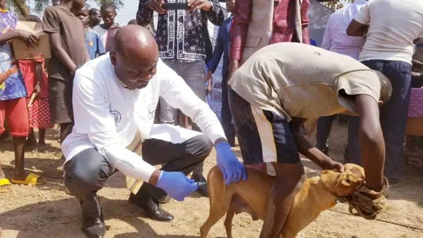 Le Togo lance une campagne nationale de vaccination animale