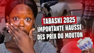 Tabaski 2025 : les moutons hors de prix avant la fête - Revue du 03 juin 2025